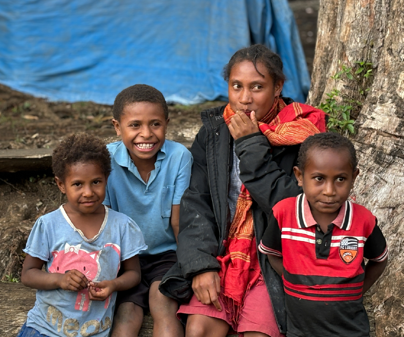 パプアニューギニア ジワカ ウィルトン農園 A 生豆 | 海ノ向こう