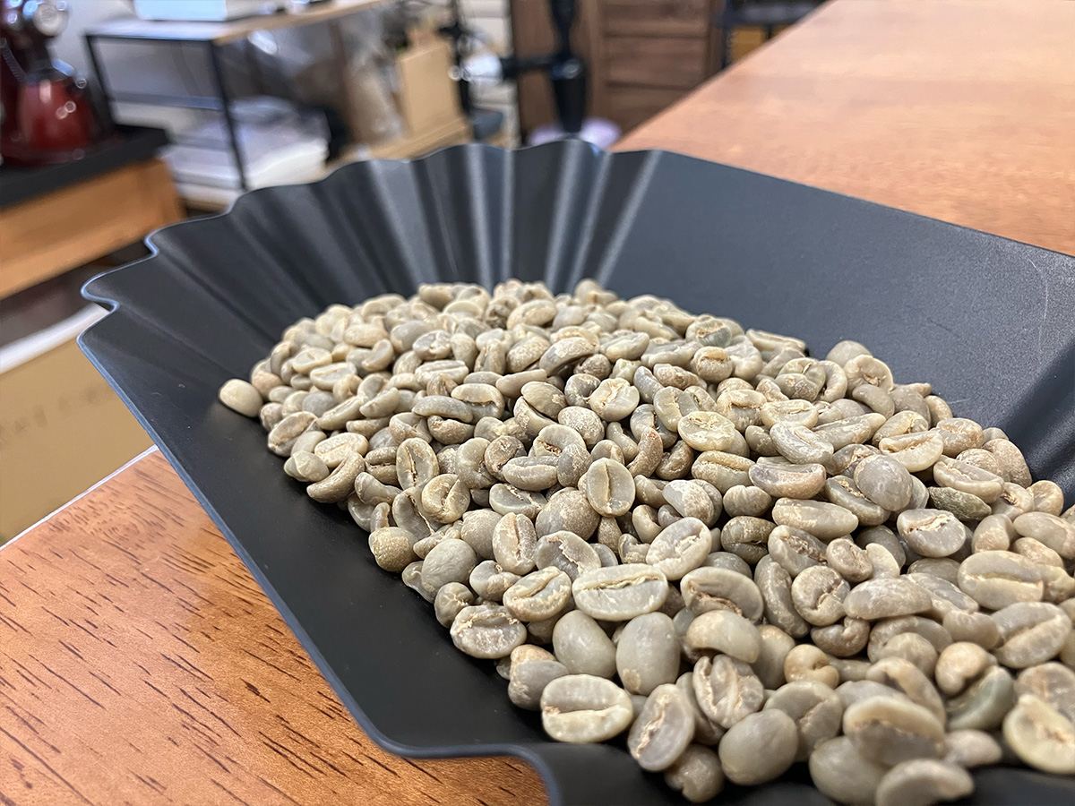 ルワンダ ジュルコーヒー フリーウォッシュ AA 生豆 | 海ノ向こう