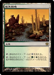 MTG 低木林地 7版 日本語 ホイル Foil マジックザギャザリング mtg