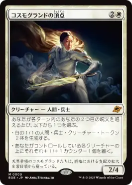 MTG 行き届いた書庫/Meticulous Archive 日本語 2枚 行き届いた書庫