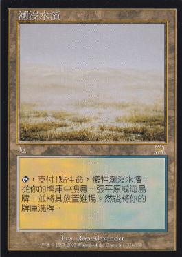 mtg 溢れかえる岸辺 4枚 日本語 タルキール mtg 溢れかえる岸辺 4枚
