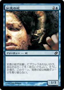 MTG foil 日本語版 知恵の蛇の眼 知恵の蛇の眼 foil