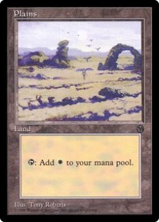 MTG ユーロランド 平地 森 沼 山 5種セット MTG ユーロランド 平地 森