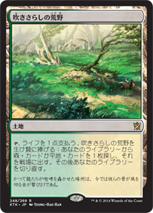 mtg ZNE フェッチランド 日本語 10枚セット フェッチランド ZNEの商品