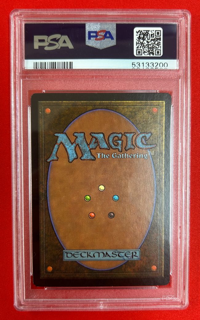 マジックザギャザリングAPAC3ランド未開封 マジックザギャザリング