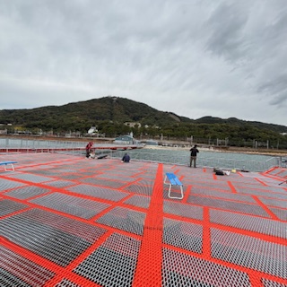 アミエビ撒いたら魚だらけ！須磨海づり公園のポテンシャルが凄い