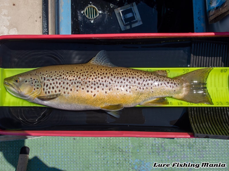 そろそろデカホンが欲しい！中禅寺湖 2020年第7戦目の釣行記録 (2020年