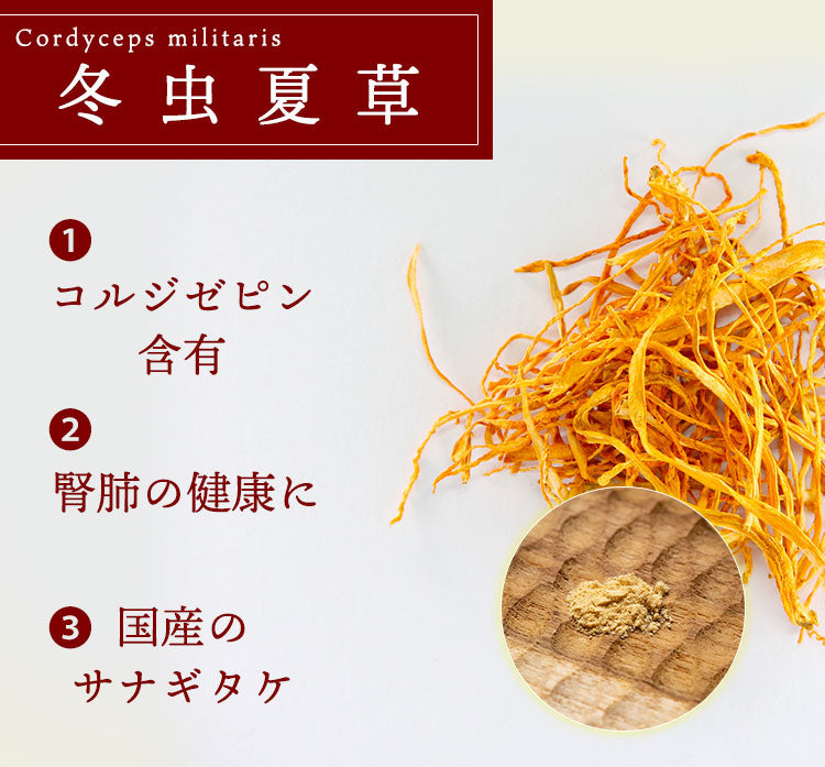 花神 - Kajin - 犬と猫の腎臓に配慮した乳酸菌&冬虫夏草サプリ