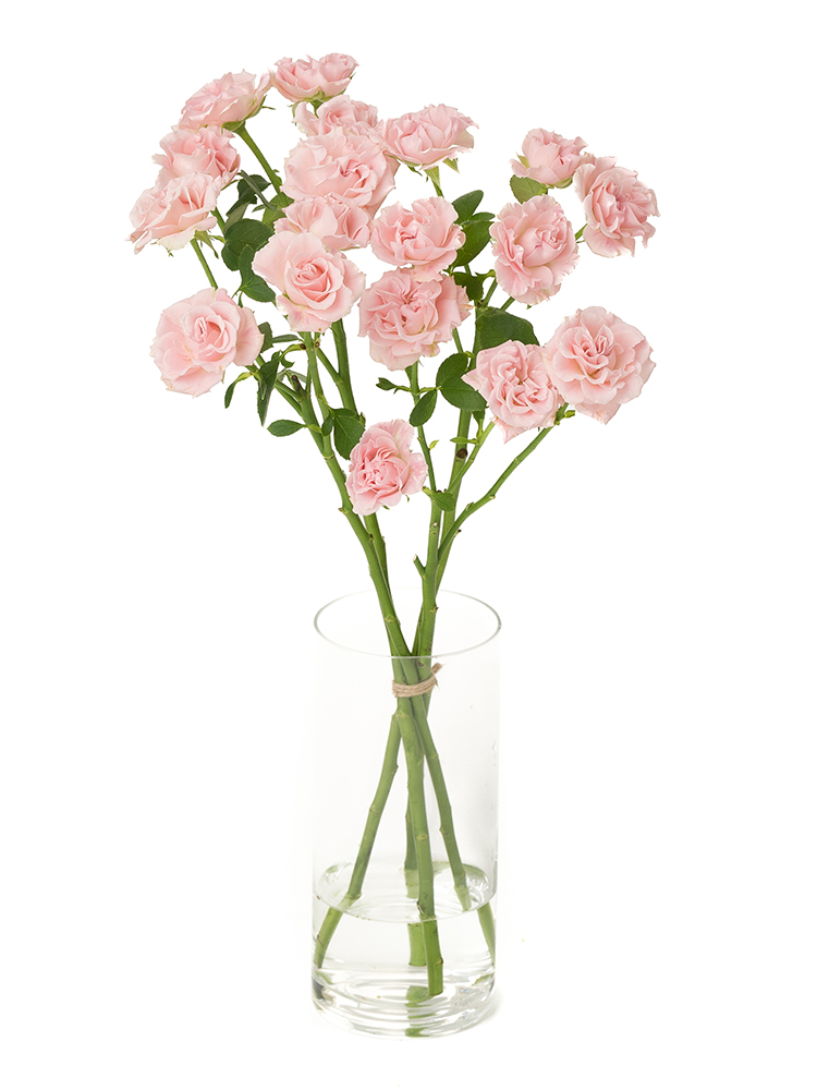 サロペット/オーバーオール (レディース) 通販｜J'aDoRe JUN ONLINE