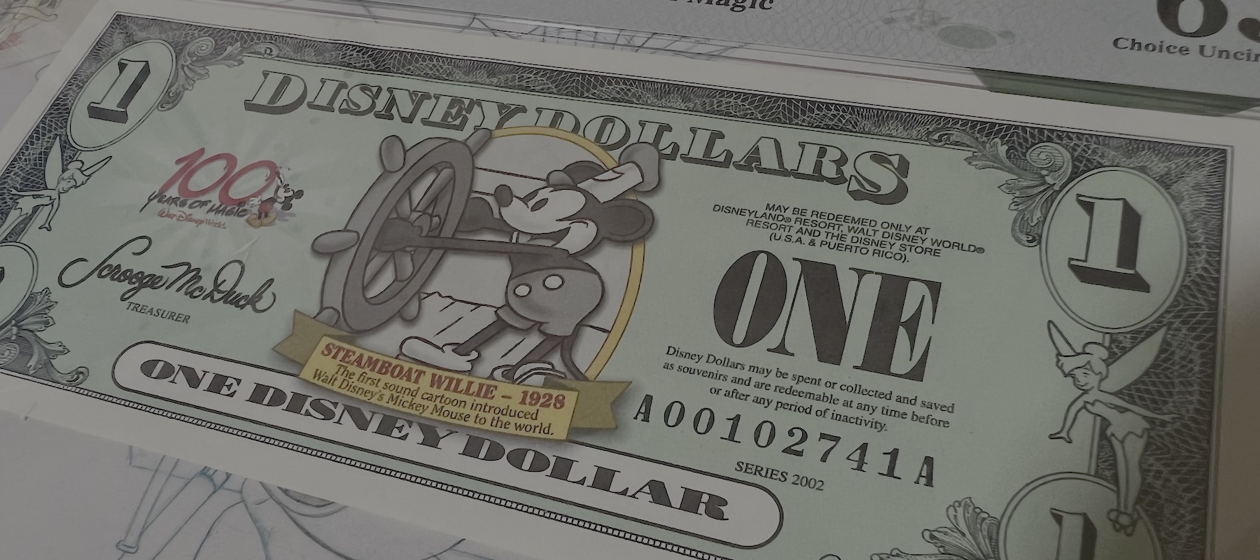 Disney Dollars – Flanel