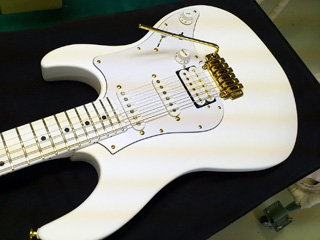 FUJIGEN EXPERT ELAN マットホワイト アウトレット ショップホビー