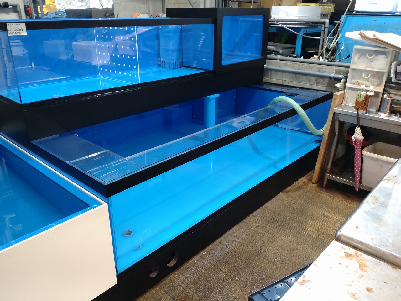 施行事例 - 福水興設 | アクリル水槽 | 円形水槽 | オーダーメイド水槽