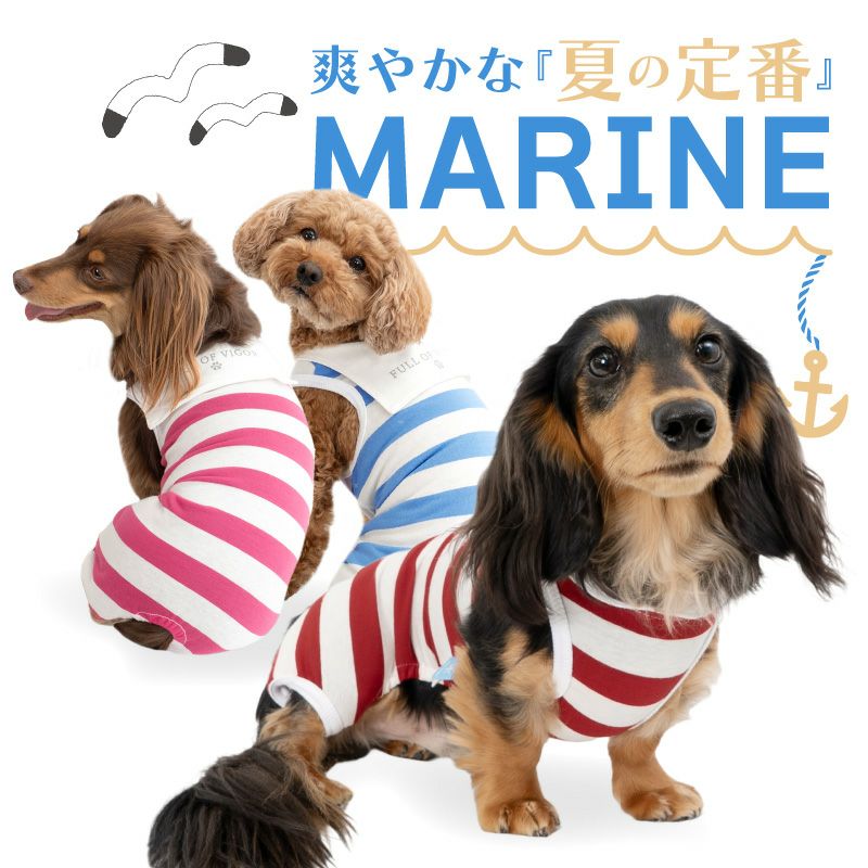 接触冷感 太ボーダー セーラー衿 つなぎ ダックス 小型犬用 | ダックス