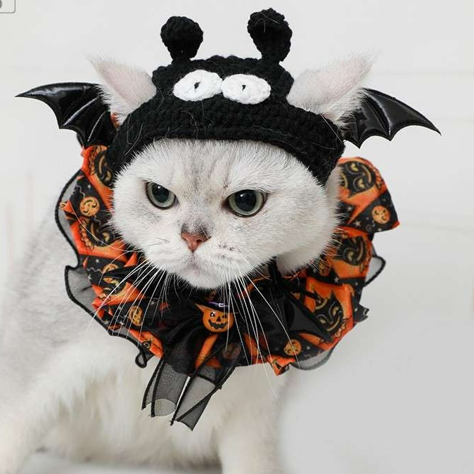可愛い猫用ハロウィン仮装服30選 - 猫服専門通販 ねこはぴ