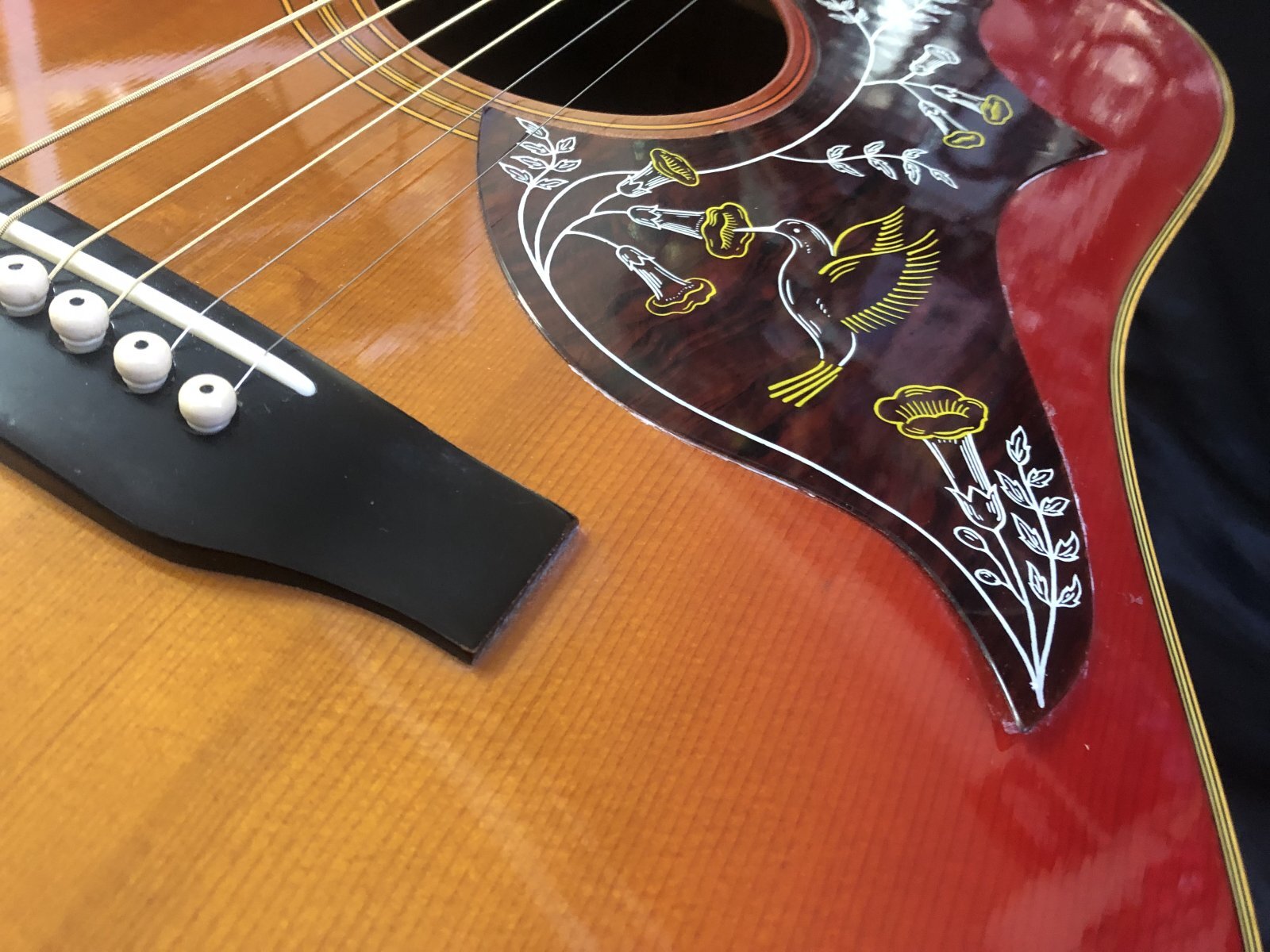 モーリス ギター Morris WD-25 ハミングバード Morris / WH-25