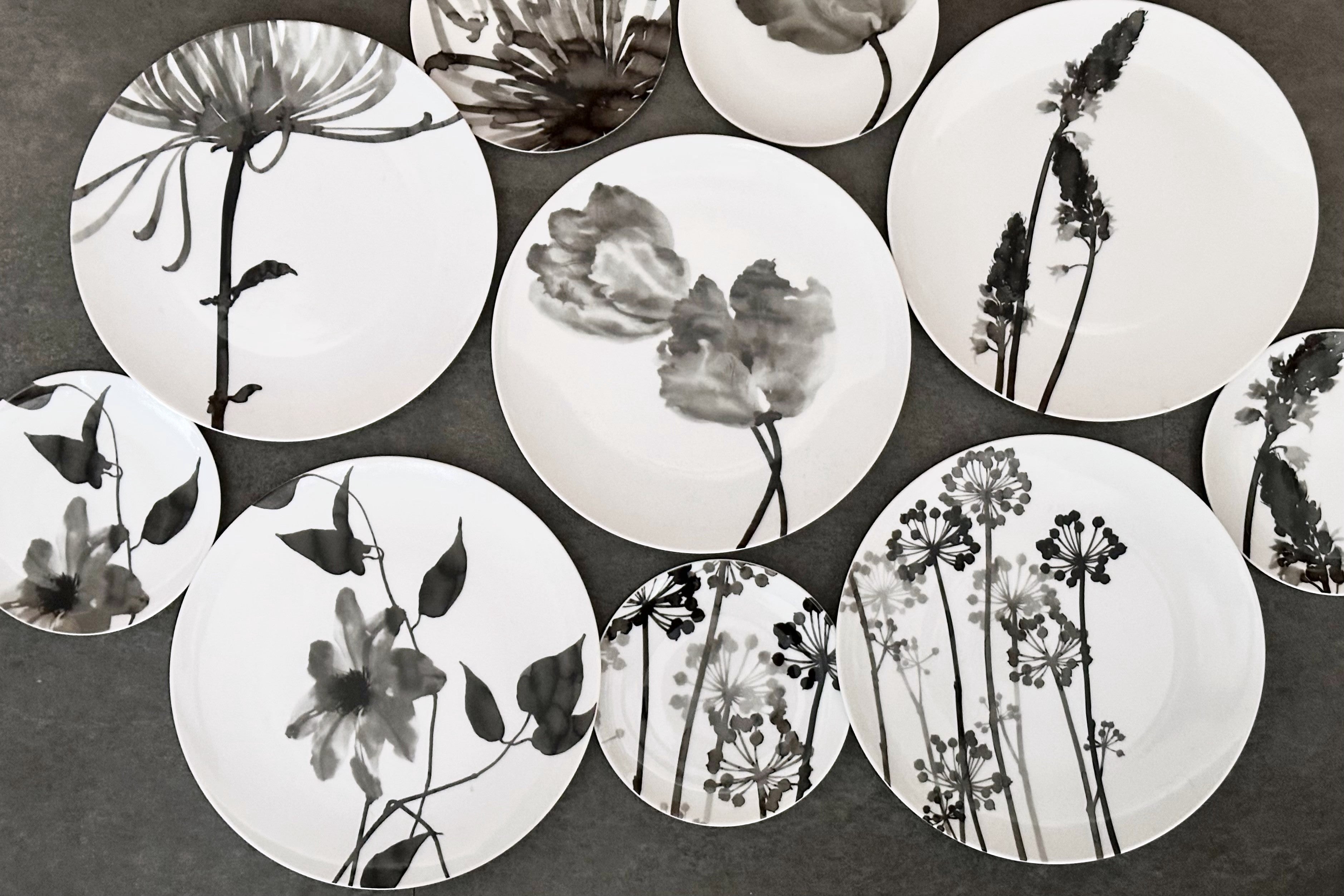 仁清意 絵変わり お皿 5枚組 菊渓 仁清意 絵変わり お皿 5枚組 菊渓